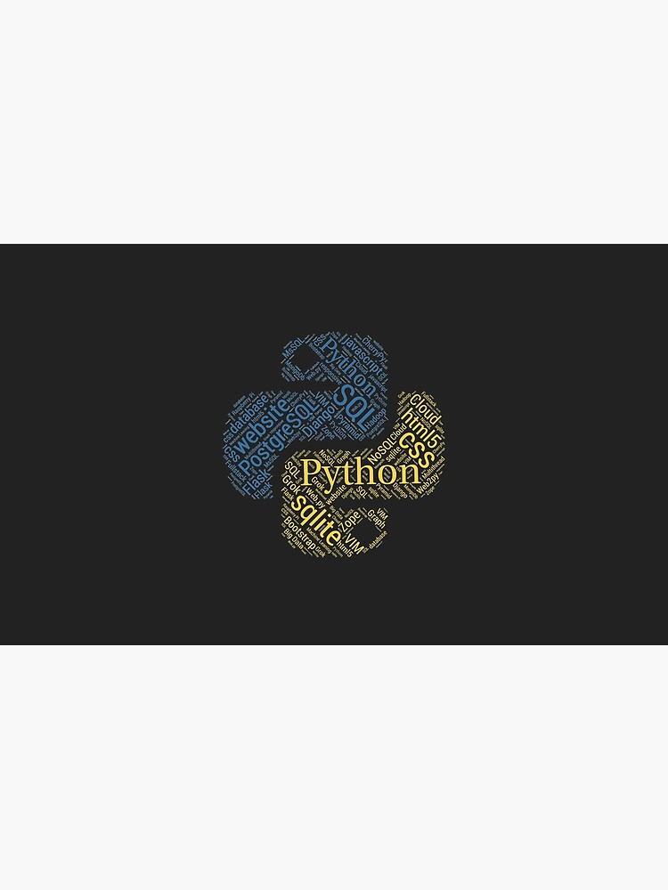 python developer t shirt