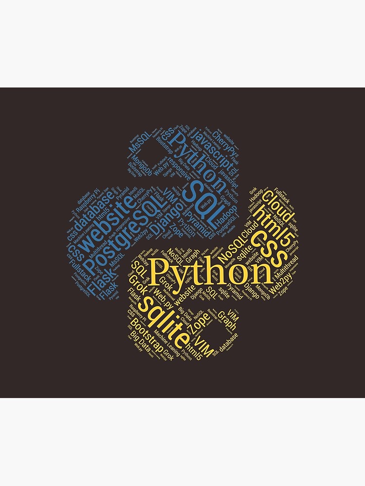 Python Programmer & Developer T-shirt & Hoodie NEW by nasa8x