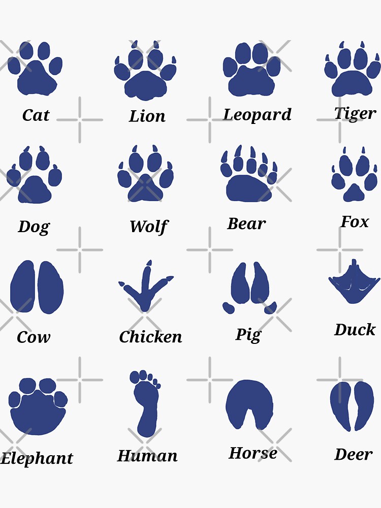 Sticker Guide D identification Des Traces De Pas D animaux Par 