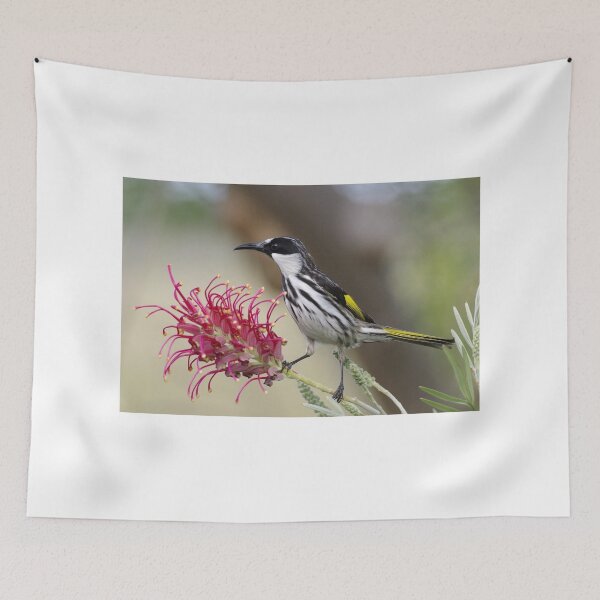 Item preview, White Cheeked Honeyeater designed and sold by Lyle McNamara.
