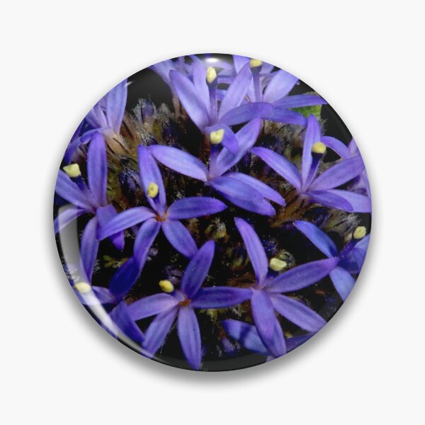 Item preview, Blue Pincushion Flower designed and sold by GP1746.