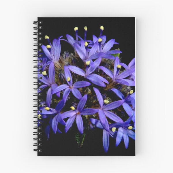 Item preview, Blue Pincushion Flower designed and sold by GP1746.