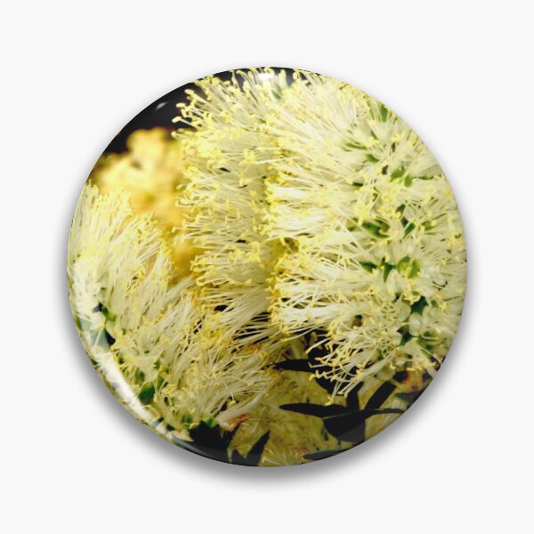 Item preview, Scented Paperbark designed and sold by GP1746.