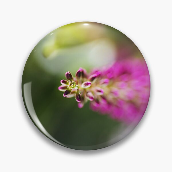 Item preview, Hebe Pink Bloom designed and sold by Joy Watson - Natural Light Photography .