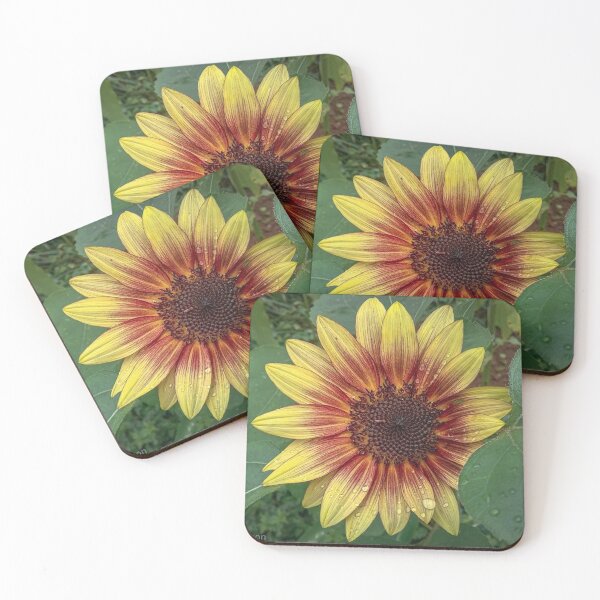 Item preview, Strawberry Blonde Sunflower designed and sold by Ashley Gagnon.