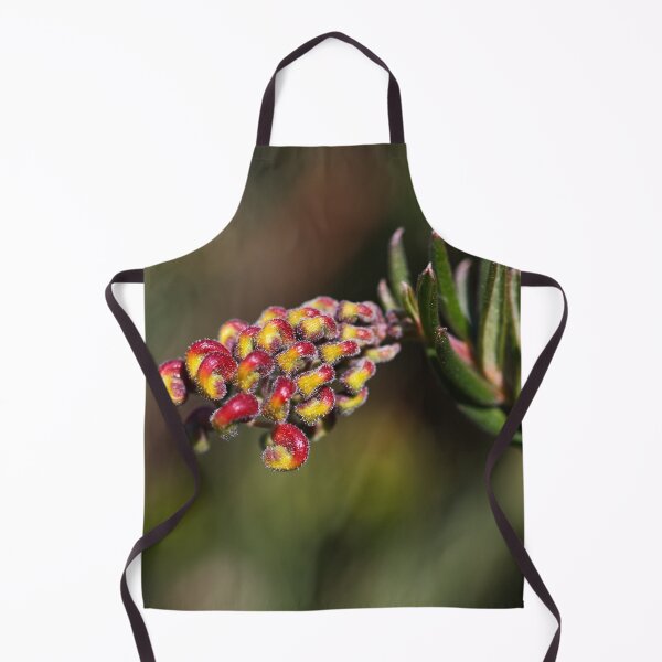 Item preview, Grevillea Fireworks Flowering designed and sold by Joy Watson - Natural Light Photography .