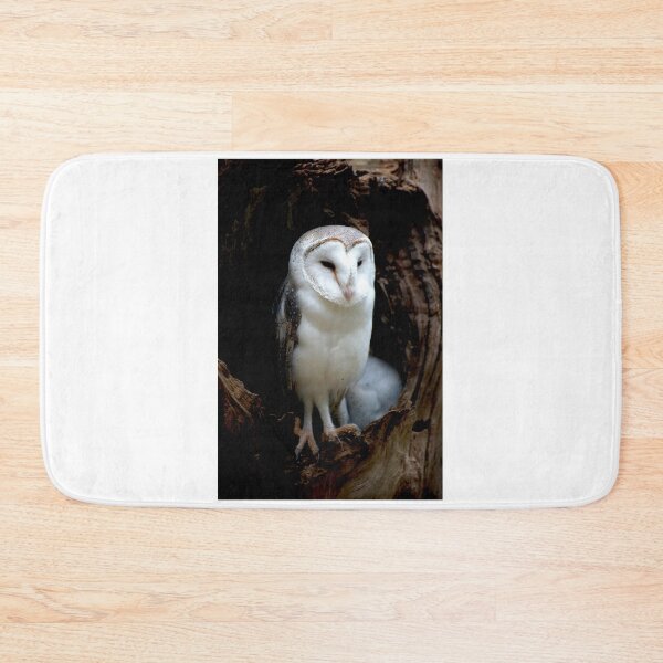 Item preview, Barn Owl Guarding The Nest designed and sold by GP1746.