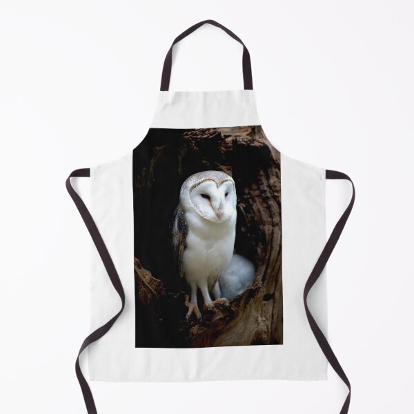 Item preview, Barn Owl Guarding The Nest designed and sold by GP1746.