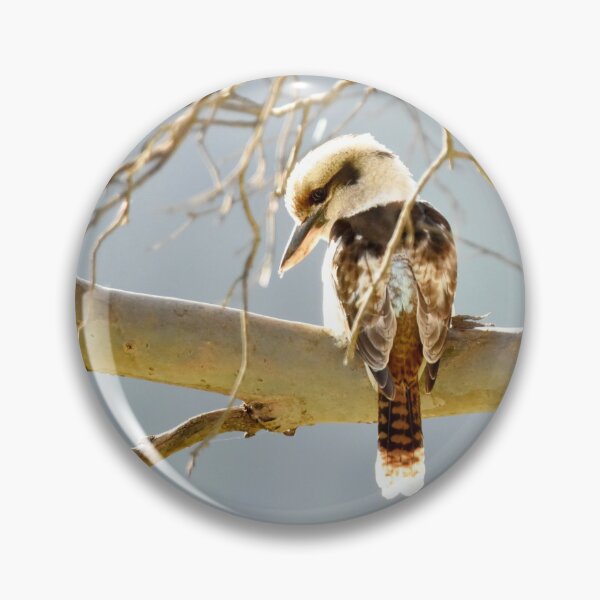 Item preview, Beautiful Colours of the Kookaburra designed and sold by imaginethis.