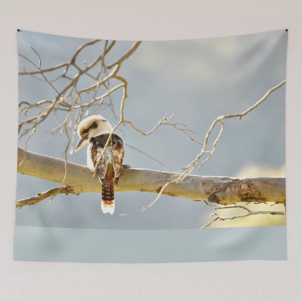 Item preview, Beautiful Colours of the Kookaburra designed and sold by imaginethis.