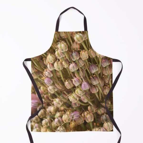 Item preview, Two Drying Garlic Flowers designed and sold by Joy Watson - Natural Light Photography .