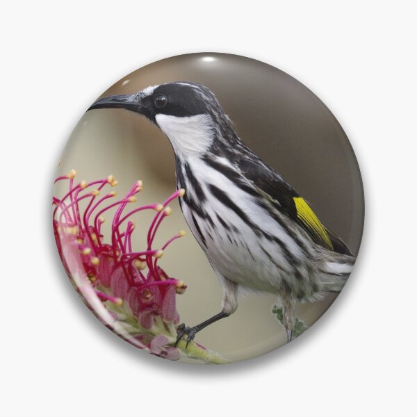 Item preview, White Cheeked Honeyeater designed and sold by Lyle McNamara.