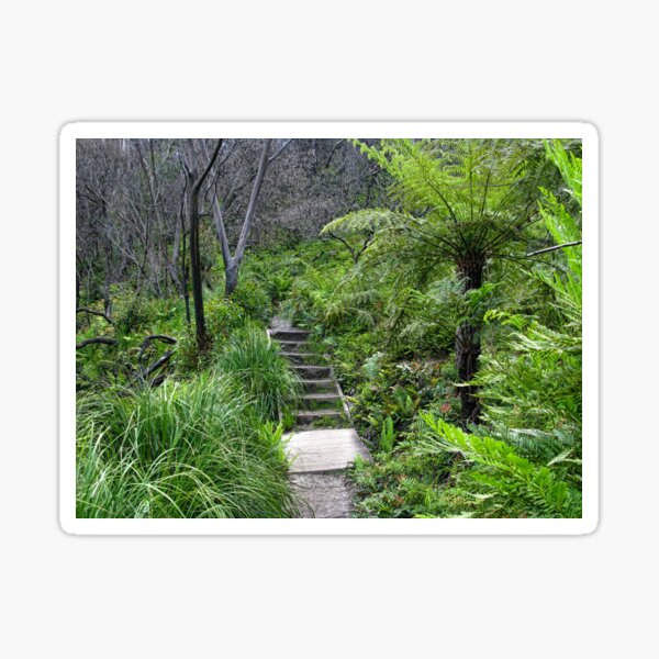 Item preview, Leura Cascades Circuit Walk - Blue Mountains designed and sold by Marilyn Harris.