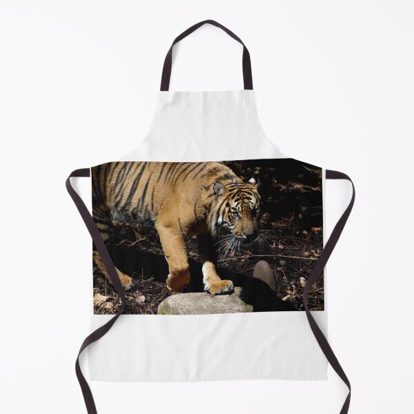 Item preview, Tiger Stalking - Close Up designed and sold by GP1746.