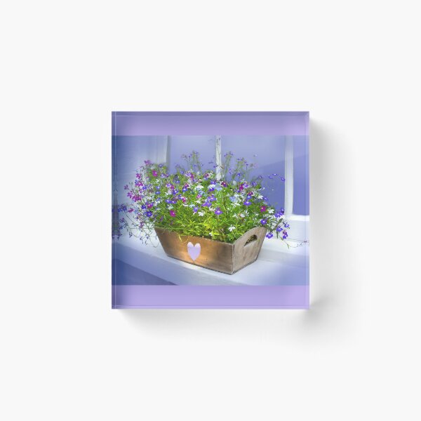 Item preview, Pretty Lobelias  designed and sold by Alisonchambers2.