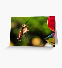 Beautiful Visitor Greeting Card