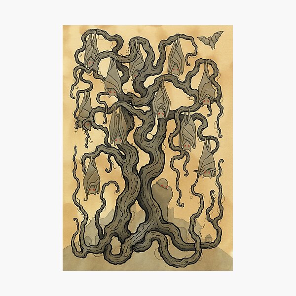 Vampires in the Ceme-tree Photographic Print