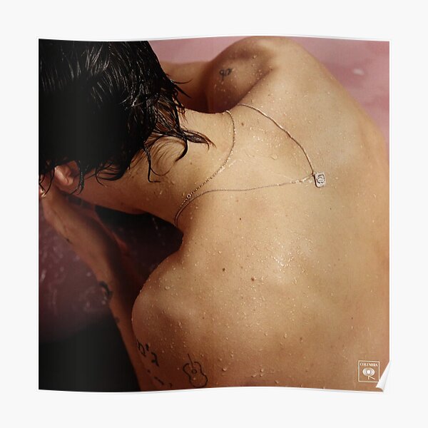 Harry beau Poster