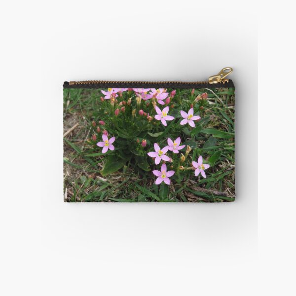 Item preview, Common Centaury designed and sold by wiggyofipswich.