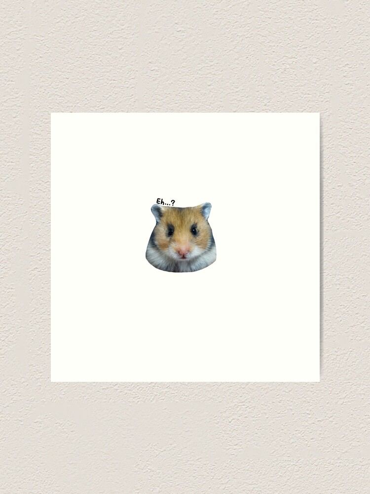 hamster lover