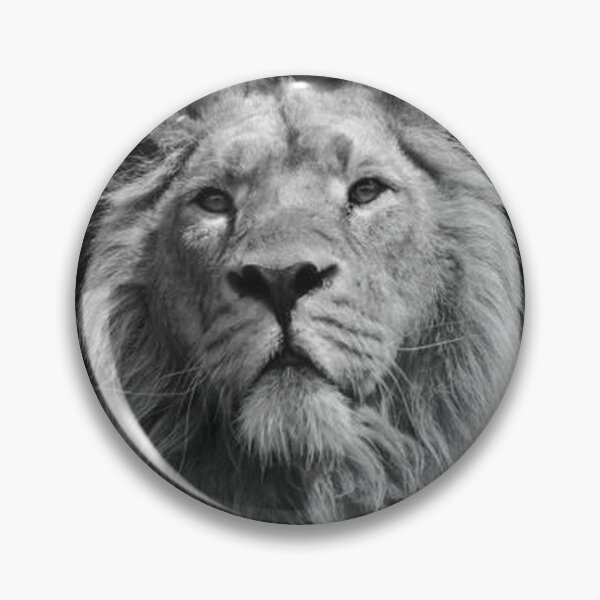 Item preview, Big Cats Collection - Tigers & Lions - Model 30 designed and sold by Coolstuff4you71.