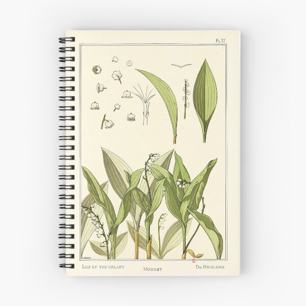 Item preview, French botanical flower plate - E. Hervegh - Muguet designed and sold by DejaVuStudio.