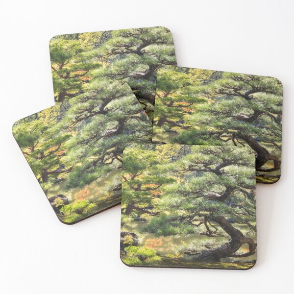 Item preview, Sculptural back-lit pine trees in autumn at a Zen garden in Kyoto. designed and sold by Danielasphotos.