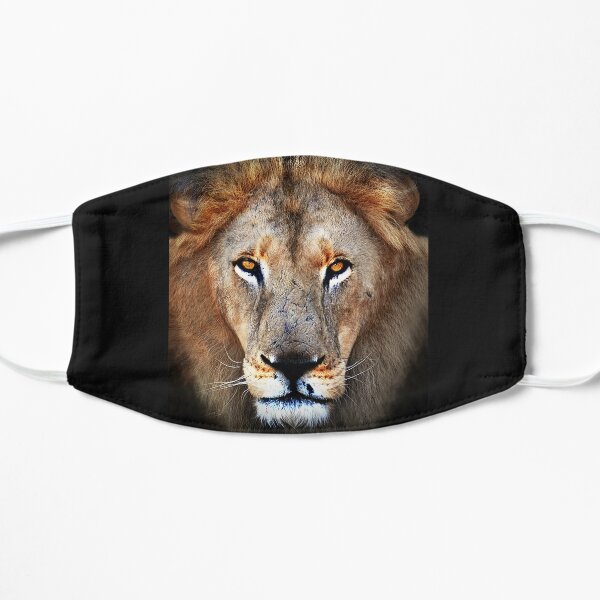 Lucky the Lion Flat Mask