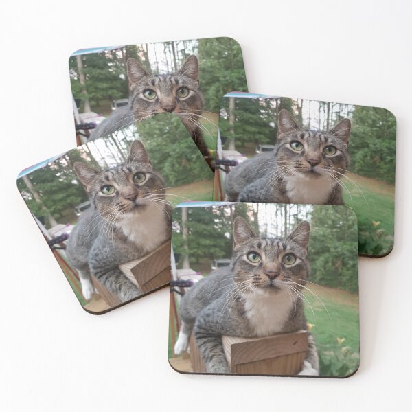 Item preview, Pretty stray designed and sold by Emmekins100.