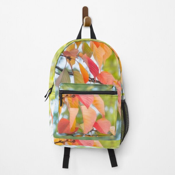 Item preview, Sun shines through colorful autumn leaves at Maruyama Park in Kyoto. designed and sold by Danielasphotos.