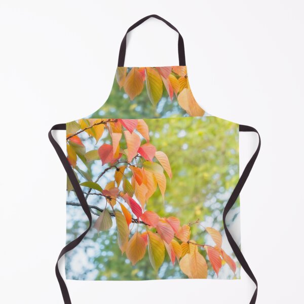 Item preview, Sun shines through colorful autumn leaves at Maruyama Park in Kyoto. designed and sold by Danielasphotos.