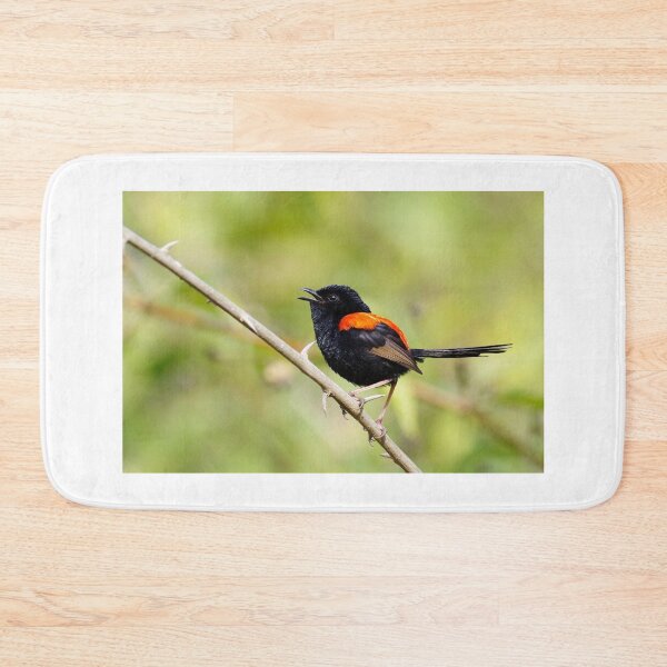 Item preview, Male Red Backed Fairy Wren designed and sold by Lyle McNamara.