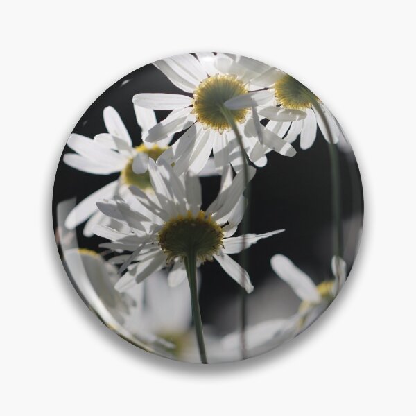 Item preview, Daisy Butts designed and sold by cuprum.