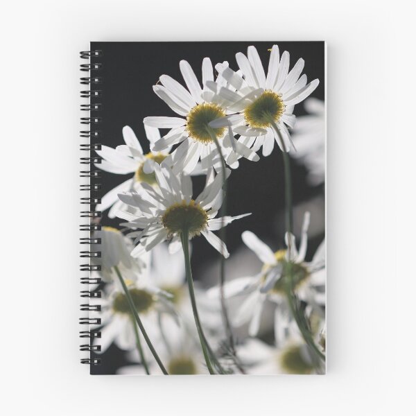 Item preview, Daisy Butts designed and sold by cuprum.