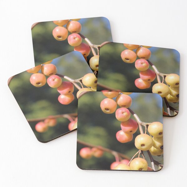 Item preview, Red Crabapples designed and sold by pinkal.