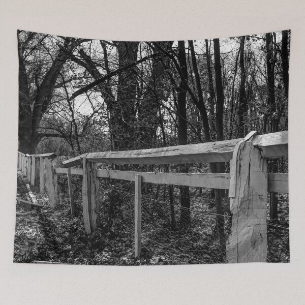 Item preview, Old country fency through the woods. designed and sold by shaynetwright.