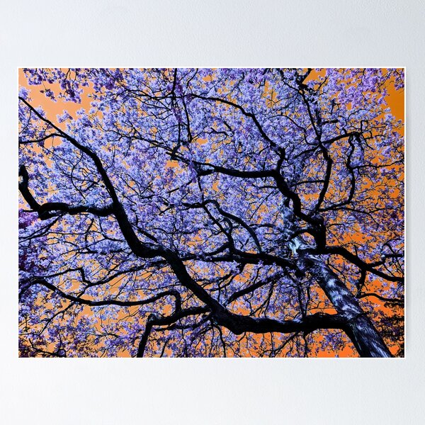Item preview, Purple Tree designed and sold by AlternativeHue.