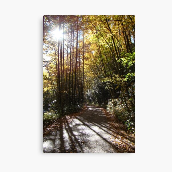 Land of the Noonday Sun Canvas Print