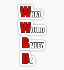 WWBD Sticker