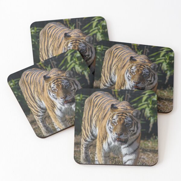 Item preview, Striped Cat designed and sold by Ruth Goldsack.
