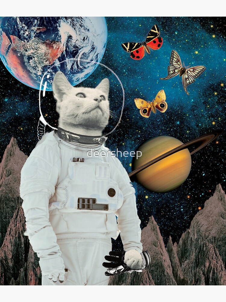 A Space Cat Astronaut and butterflies - V Poster for Sale by deersheep