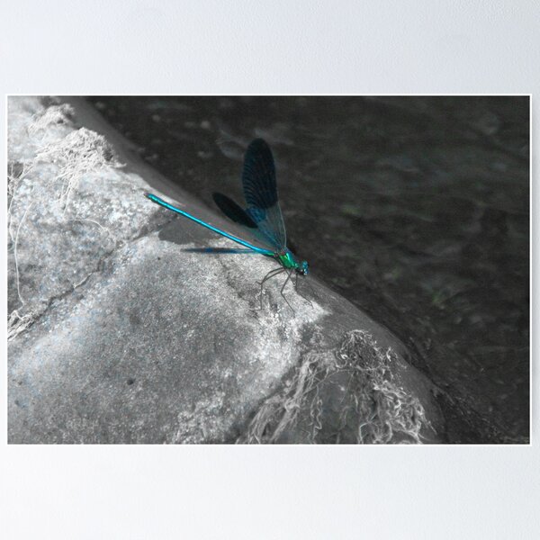 Item preview, Insect designed and sold by fitithis.