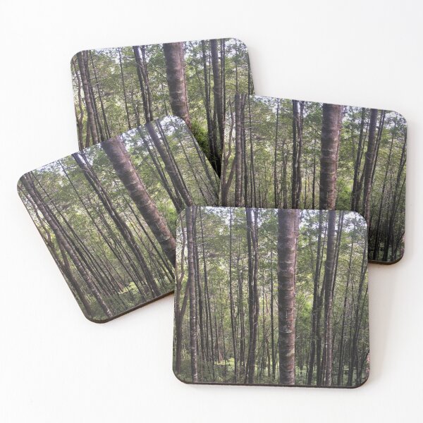 Item preview, Beech tree forest vertical designed and sold by Naturevibez.