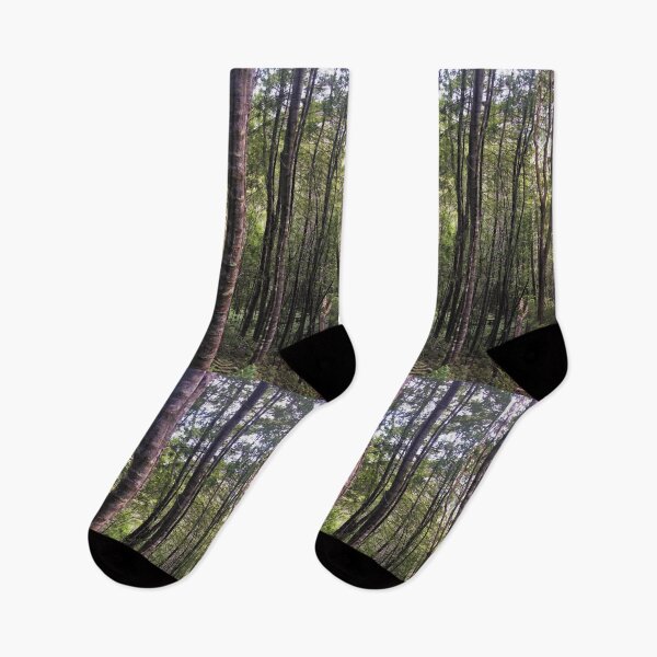 Item preview, Beech tree forest vertical designed and sold by Naturevibez.