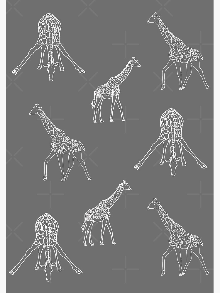 Strike a Pose (Giraffe) by beththompsonart