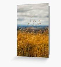 Golden Grass Greeting Card