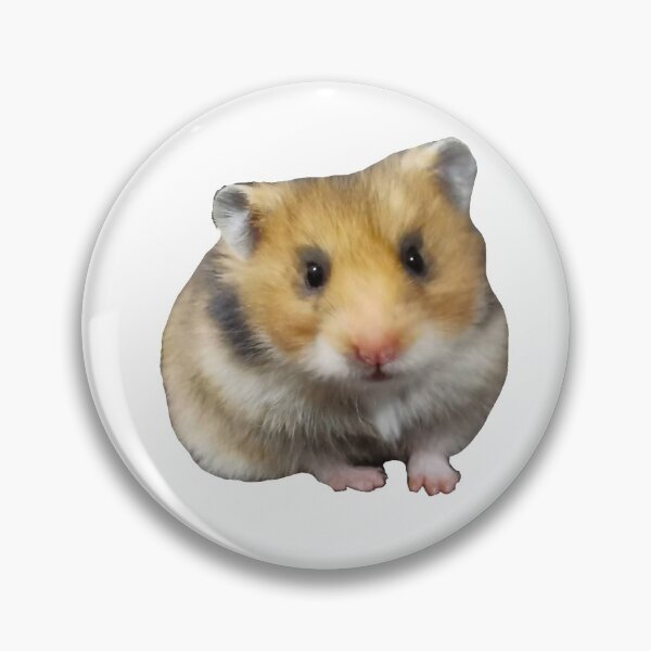Artikelvorschau, Keks der süße syrische Hamster, für Hamsterliebhaber entworfen und verkauft von Sabbycreates.