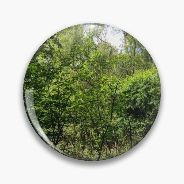 Item preview, clouds seen through the trees in weelsby woods designed and sold by EcDigitalPhoto.