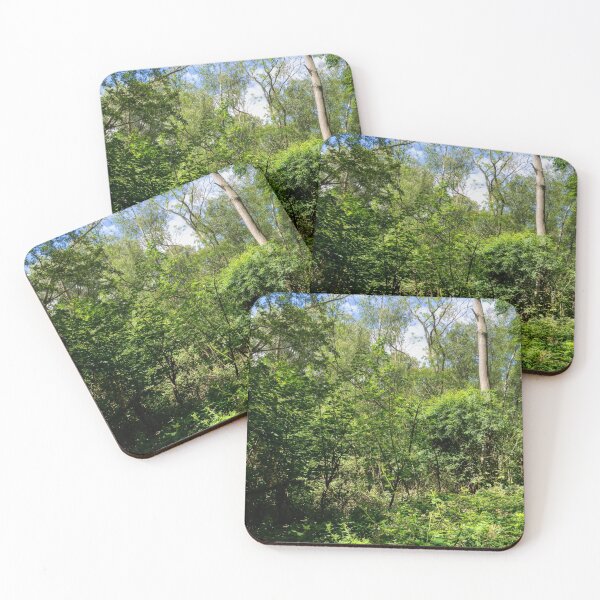 Item preview, clouds seen through the trees in weelsby woods designed and sold by EcDigitalPhoto.