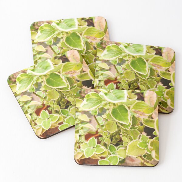 Item preview, Green earthlings  designed and sold by SidTastic .